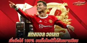 แทงบอล วอเลท เชื่อถือได้ 100% บนเว็บไซต์ที่ได้รับความนิยม